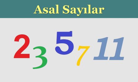 Asal sayılar nedir