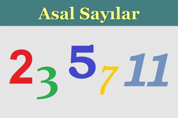 35 Adımda Asal Sayılar