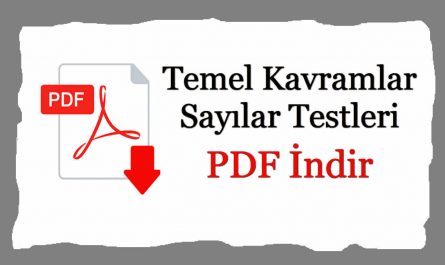 Temel kavramlar sayılar test PDF indir