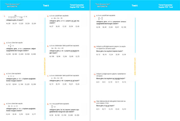 DGS Sayılar test pdf, Temel kavramlar testi indir