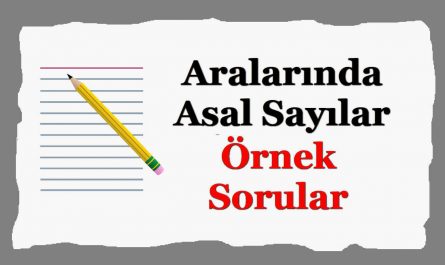 Aralarında asal sayılar örnek sorular